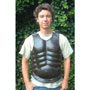 Greek muscle armour (brown leather) approx. 500 BC