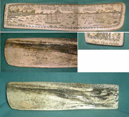 U31 - Scrimshaw Walknochen Andenken USA 1842