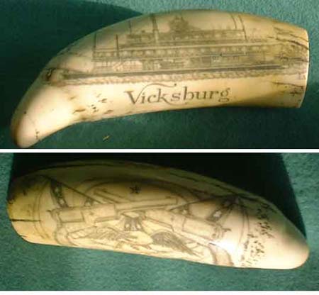 U34 - Scrimshaw Pottwalzahn Vicksburg USA