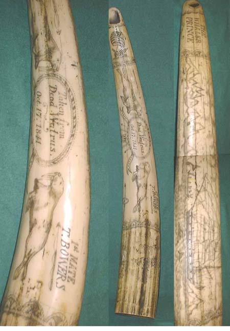 U33 - Scrimshaw big walrus tooth, USA 1844