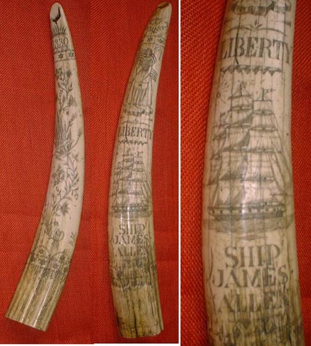 U36 - Scrimshaw big walrus tooth, USA 1830