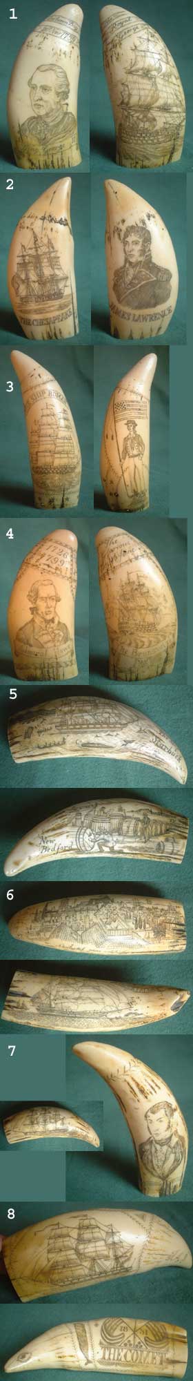 U67 - Set 8 Scrimshaw whale teeth replica