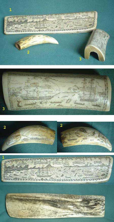 U68 - Set of 3 Scrimshaw whale bone and tooth