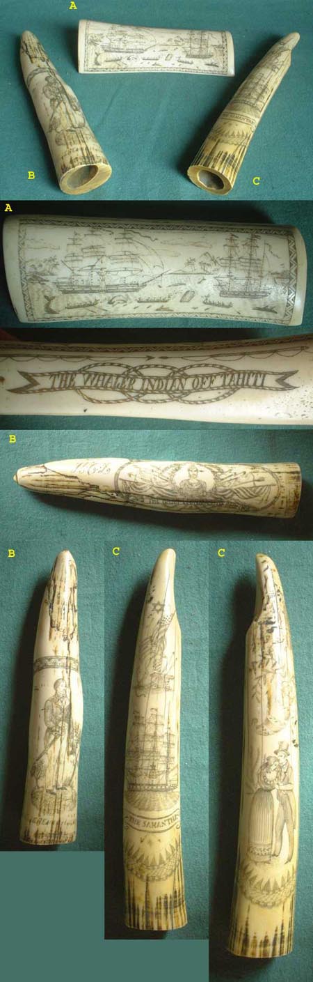U69 - Set 2 short Scrimshaw walrus tusks - a whale bone