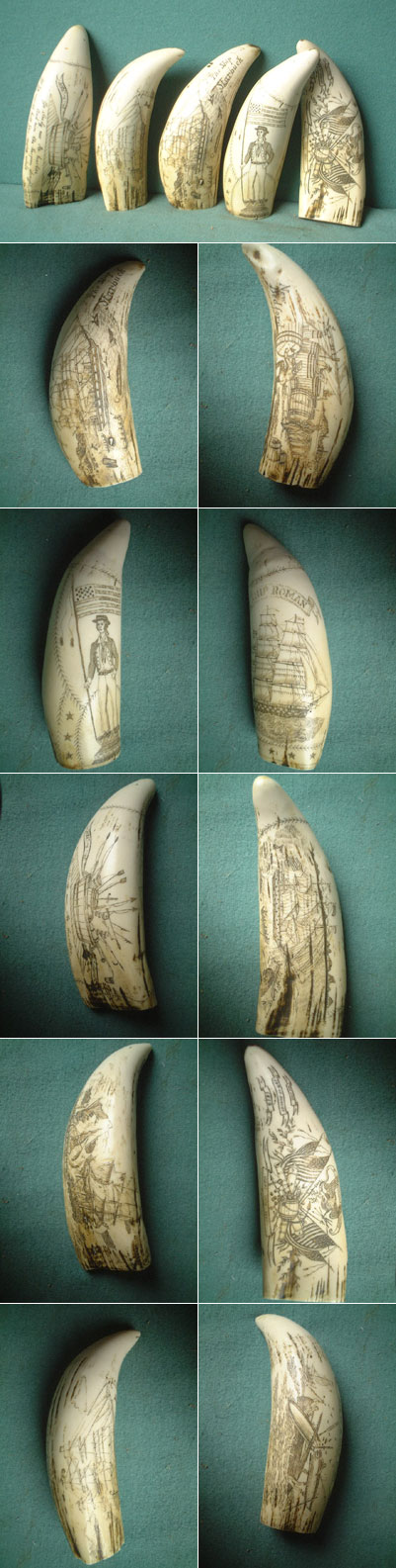 U76 - 5 Scrimshaw whale teeth resin replica