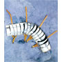 R�mer-R�stung, lorica segmentata, Armschutz