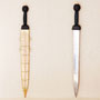 Gladius Schwert