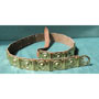 Roman centurion belt cingulum f. Rome's legion
