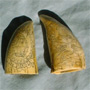 Scrimshaw whaler souvenir USA around 1850